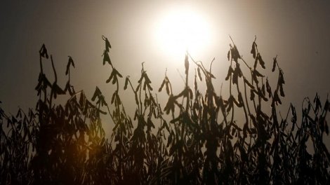 Yer “istixana trayektoriyası"na daxil olur - İqlim xaosu