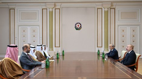 Prezident Ərəb Koordinasiya Qrupuna daxil olan üzv qurumların rəhbər şəxslərini qəbul etdi - FOTO