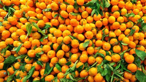 Kimlər naringi yeyə bilməz?