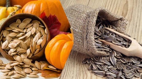 Günəbaxan və balqabaq: Hansı sağlamlığa daha faydalıdır?