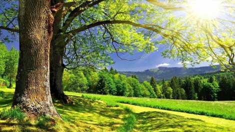 Sabahın hava proqnozu