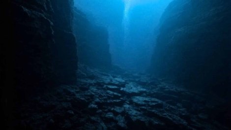 İnsan təcrübəsi okean dibinin bir hissəsində bütün həyatı necə məhv etdi?