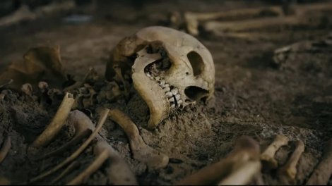 Arxeoloqlar bir skeletin cinsiyyətini necə müəyyənləşdirə bilir?