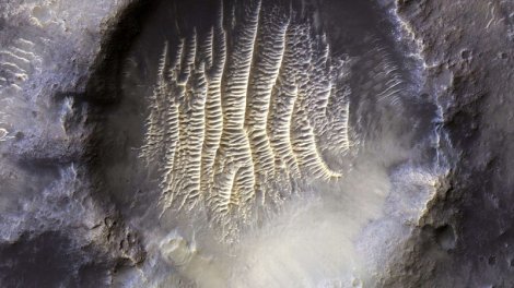 Alimlərin Yerdəki kəşfi Marsda həyatın mövcud ola biləcəyi iddiasını gücləndirir