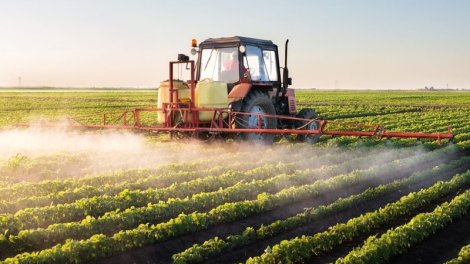 Aqrar sığortanın inkişafı üçün hansı işlər görülməlidir?