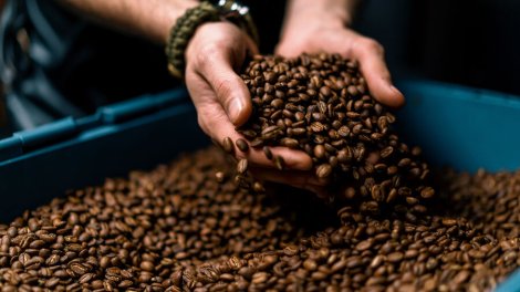 Qəhvənin qaraciyər və böyrəklər üçün gözlənilməz faydaları aşkarlandı