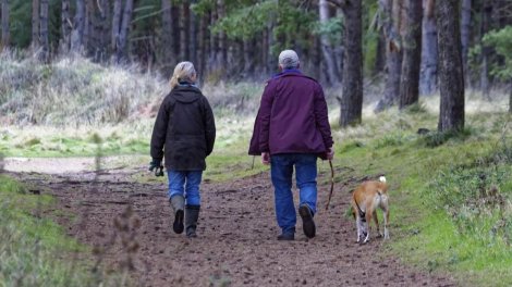 İnsanın yerişi onun sağlamlığından xəbər verə bilər