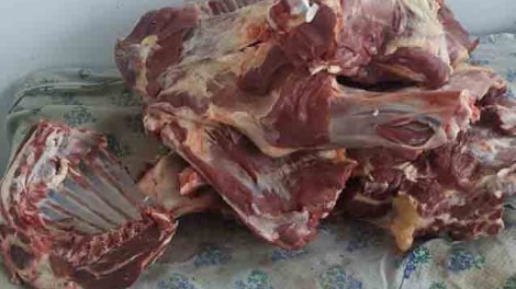 1 tondan çox at ətini keyfiyyətli mal əti kimi satışa çıxardılar - VİDEO