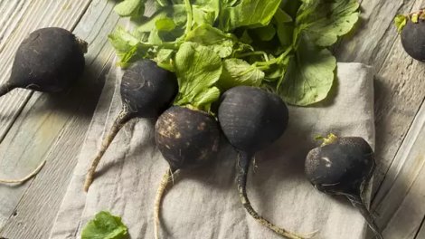 Hər kəsin bilmədiyi qara turpun faydaları