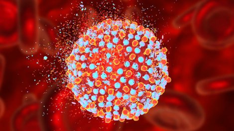 Çexiyada hepatit A epidemiyasından 30-dan çox insan öldü