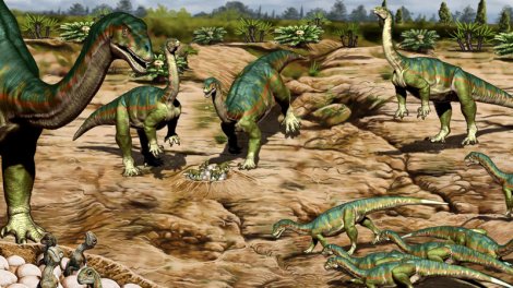 Alimlər: Bəzi dinozavrlar quşlar kimi rəngarəng ola bilərdi