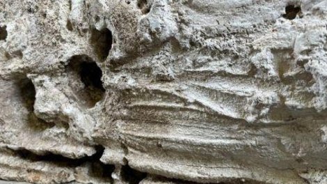 Romalılar nə üçün ölülər üçün xüsusi maye gips pastası hazırlayırdılar?