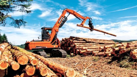 “Ələt Ağac Emalı” ASC-nin külli miqdarda borcu var