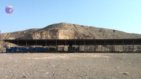 Tovuzda heyvan bazarı nə vaxt açılacaq? -VİDEO