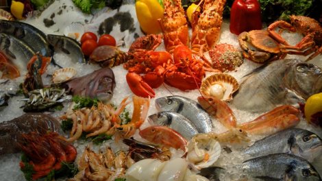 Avropadan Asiyaya: 2026-cı ilin ən yaxşı qastronomik istiqaməti açıqlandı