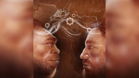 Alimlər Neandertallar və müasir insanların Avropada görüşünü modelləşdirdi