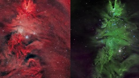 Kosmik Milad ağacı: Astronomlar qeyri-adi ulduz dəstəsini qeydə alıblar