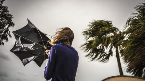 
Küləkli hava şəraiti ilə bağlı sarı xəbərdarlıq verilib