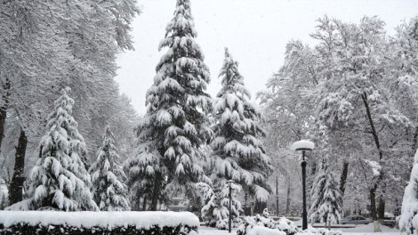 Xınalıq, Qrız, Qusar, Şahdağda qar yağır - FAKTİKİ HAVA