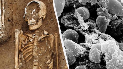 Qara Ölüm qurbanlarının olduğu orta əsr kütləvi məzarlığı tapıldı