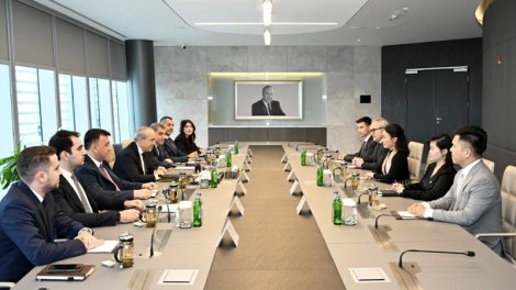 İqtisadiyyat naziri Vyetnamın "VinFast" şirkətinin nümayəndə heyəti ilə görüşüb