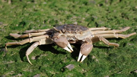 Şəhərlərin altı qazılmağa başladı: Kəlbətinli işğalçılar infrastruktur sistemlərini tıxayır