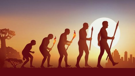 İnsanlar təkamül zamanı niyə tüklərini itirdi?