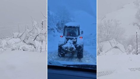 Lerikdə qara görə 80 kənd işıqsız qalıb
