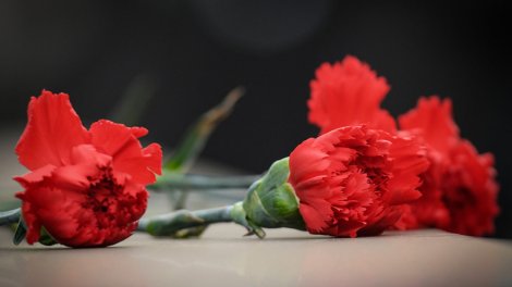 Qərənfil sevgi, yoxsa kədər gülüdür?