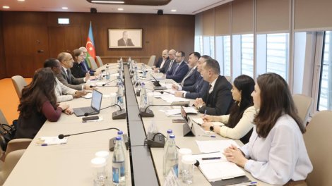 İqtisadiyyat nazirinin müavini Dünya Bankının regional direktoru ilə görüşdü