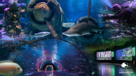 Antalyanın tematik parkları bu qış və yazda da qonaqlarını gözləyir - FOTO