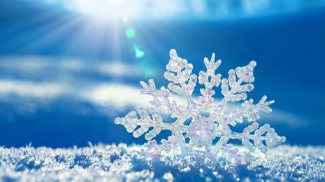 Qar virusu və xəstəliyi öldürür?