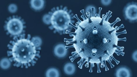 Nipah virusu epidemiya və ya pandemiyaya səbəb olacaq?