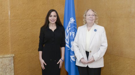 Leyla Əliyeva BMT-nin Cenevrədəki ofisinin baş direktoru ilə görüşdü