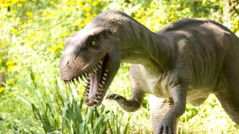 Dinozavrlar inanılmaz sürətli canlılar olub: Alimlər sübut tapdı