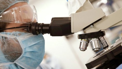 Bu tapıntı Amerikanın insan tarixi barədə anlayışı dəyişdirdi