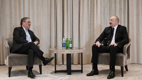 Prezident Bundestaqın xarici siyasət komitəsinin sədri ilə görüşdü - FOTO