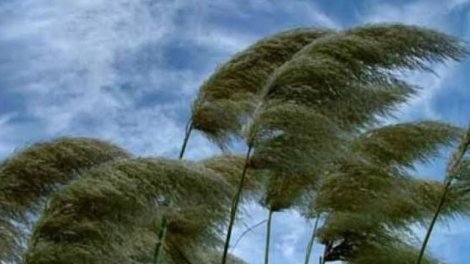 Külək güclənəcək - XƏBƏRDARLIQ