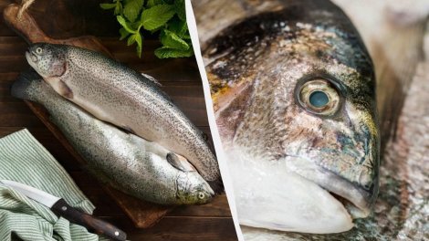 Mütəxəssislər yeməməli olduğunuz 8 dəniz məhsulunu açıqladı: Səbəb nədir?