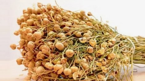 Üzərlik qoruyucu qüvvədir, yoxsa gizli təhlükə?