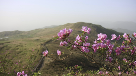 Martda paytaxtda hava necə olacaq?