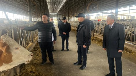 Kənd Təsərrüfatı Nazirliyinin Aparat rəhbəri Azad Cəfərli fermerlərlə görüşüb