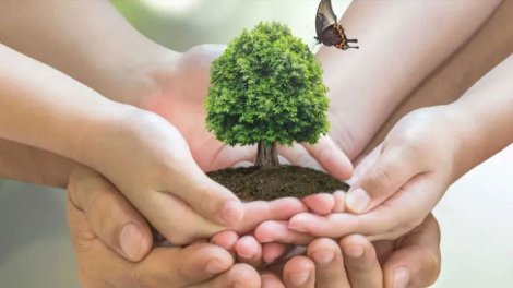 Ekoloq həyəcan təbili çaldı: &ldquo;Hamımızı təhdid edir&rdquo;