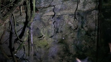 Bu adada ilanlar mağara tavanlarından asılır: Onlar kimi gözləyir?