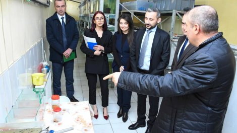 Balıqçılıq və Akvakultura Mərkəzinin nümayəndə heyəti ADAU-da görüşlər keçirib