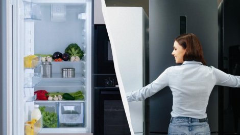 Ömürlük soyuducu: Ən yüksək keyfiyyətli modellərə malik brendlər - TOP-5