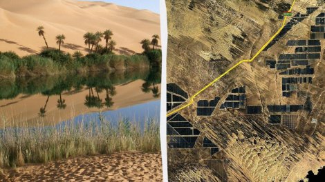 Çinin ən böyük günəş elektrik stansiyası ətrafındakı səhranı sakitcə dəyişdirir