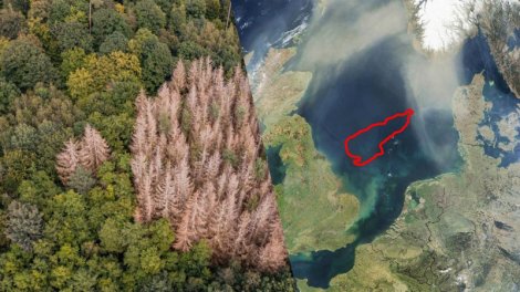 Alimlər Şimal dənizinin dibində "itmiş dünya" tapdı