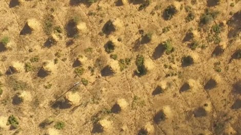 Britaniya böyüklüyündə, kosmosdan görünən nəhəng "şəhər": Onu kim yaradıb?