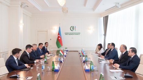 Nazir Macarıstanın Azərbaycandakı səfiri və TDT-nin Budapeştdəki Nümayəndəliyinin icraçı direktoru ilə görüşüb